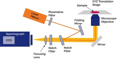 拉曼光谱技术全景速递 ── 从原理到前沿应用