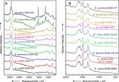 拉曼光谱技术全景速递 ── 从原理到前沿应用