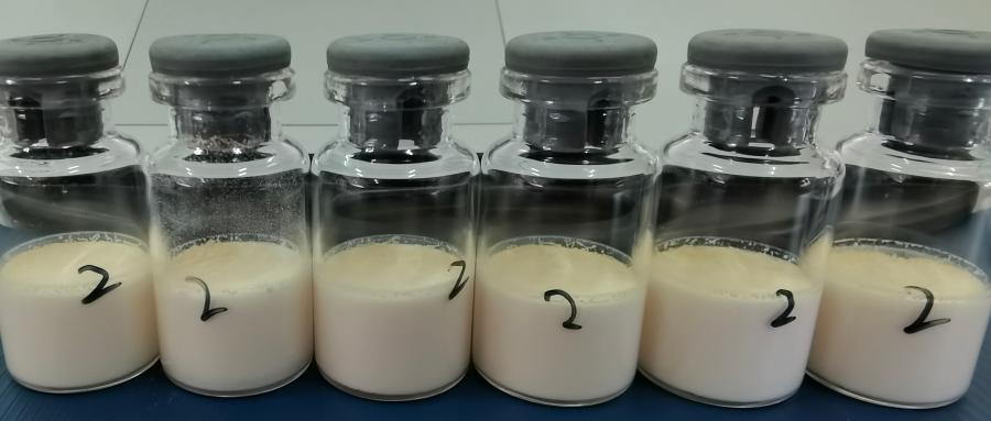 益生菌冻干技术四大核心环节深度解析：从菌株到肠道的全链条保障