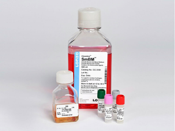 image.png LONZA原代人主动脉平滑肌细胞HAoSMC/HASMC 产品介绍