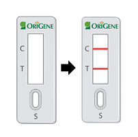 傲锐东源ORIGENE代理商 2026授权代理-AMJS澳金沙门
