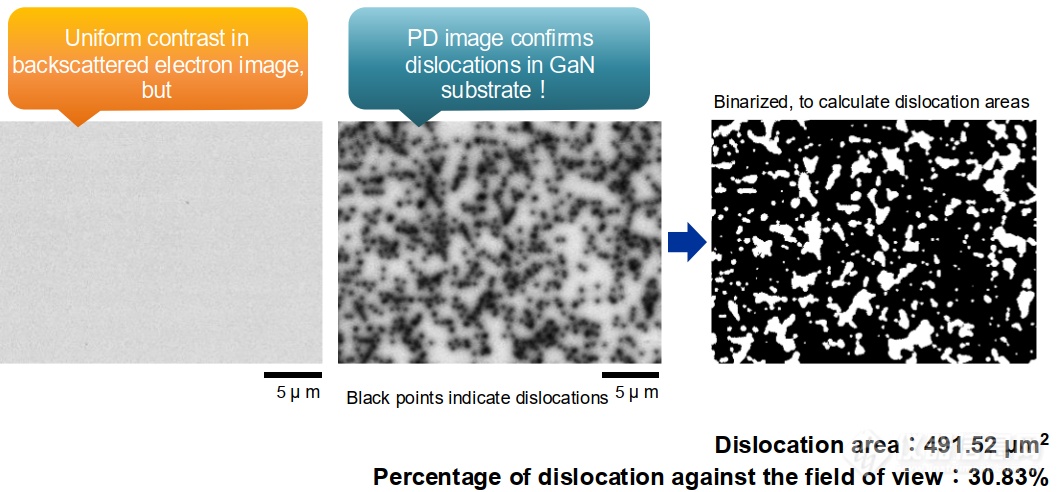 日本电子发布混合探测器：二次电子+阴极荧光，SEM成像分析一步提效