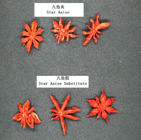 采集八角光谱数据（真伪鉴别）