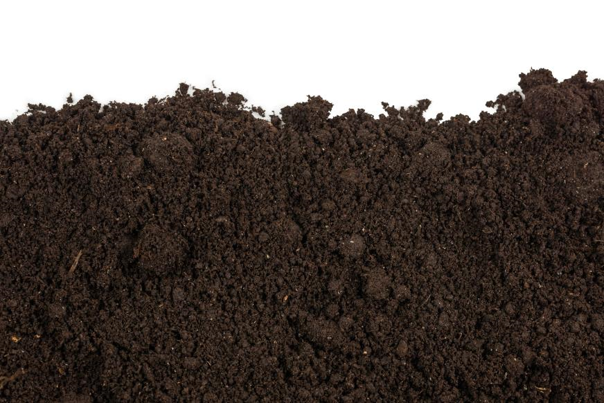 1671239456115104860_363498908-xl