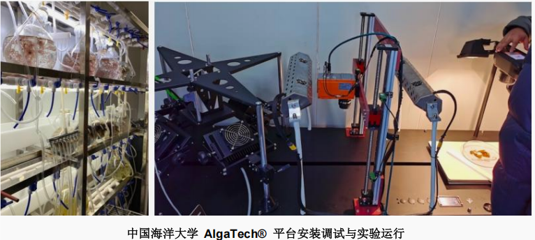 聚焦&ldquo;十五五&rdquo;新蓝图，赋能农业生态健康新时代