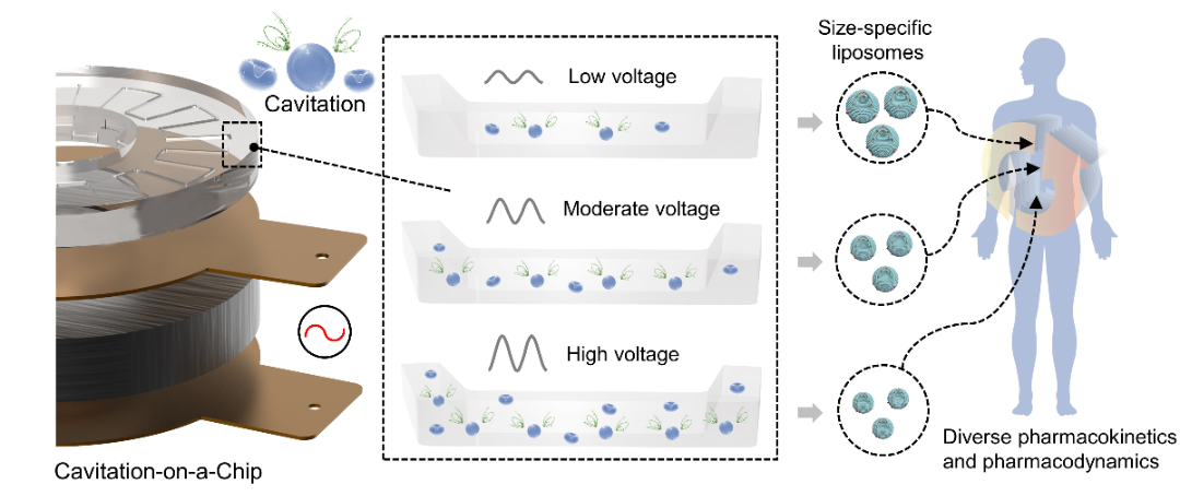 聲空化微流控器件實驗框圖