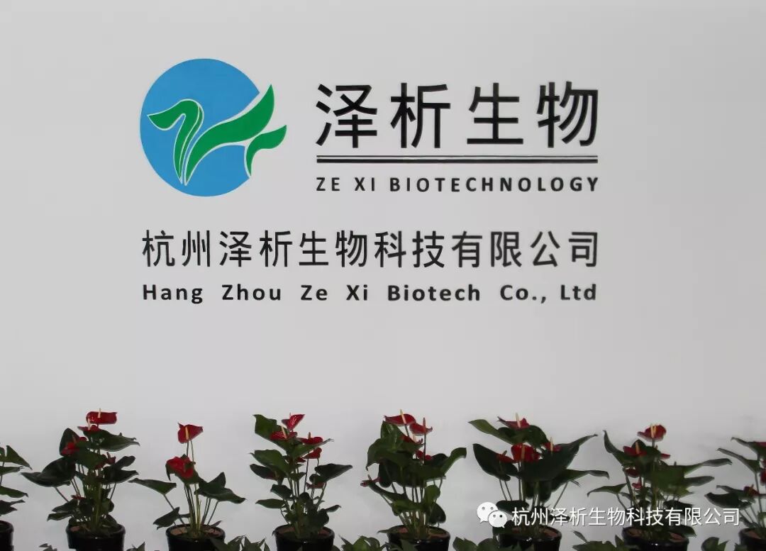 共创辉煌，共享成功 | 泽析生物诚招全国区域经销合作代理