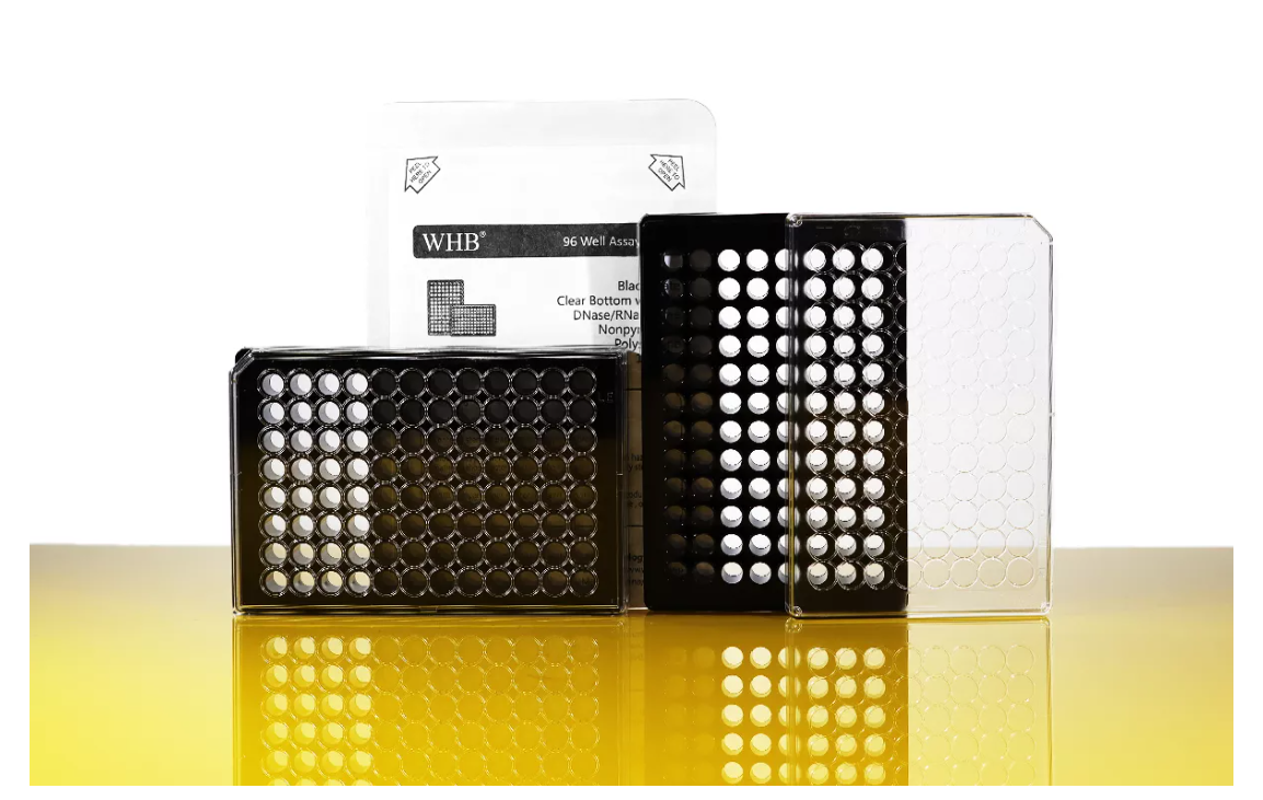 上海卧宏WHB-BIO代理商 2026年卧宏生物授权代理-上海起发