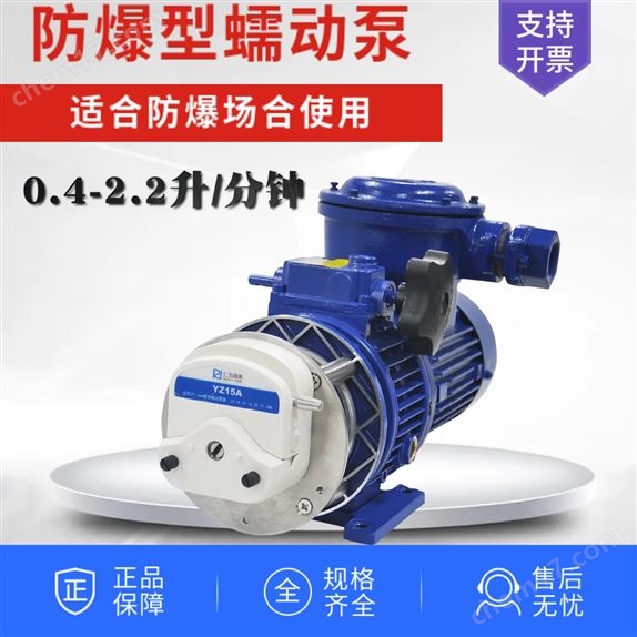 防爆型蠕动泵