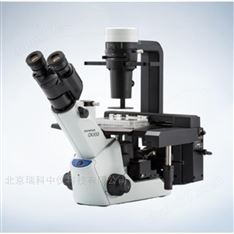 奥林巴斯显微镜CKX53科研级 代理商 现货