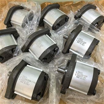 02ZCG06L434D意大利RONZIO罗茨齿轮泵