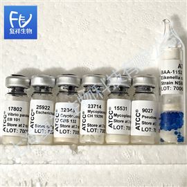 Vibrio parahaemolyticus副溶血弧菌 ATCC 17802 凍干粉 EB101