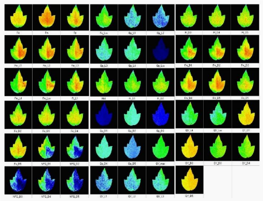 36.png FluorCam封閉式葉綠素?zé)晒獬上裣到y(tǒng)